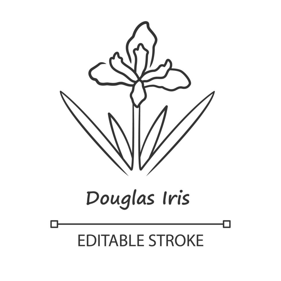 Douglas iris plant linear icon. California blooming wildflower with name. Garden flower. Iris douglasiana. Spring blossom. Thin line illustration. Vector isolated outline drawing. Editable stroke