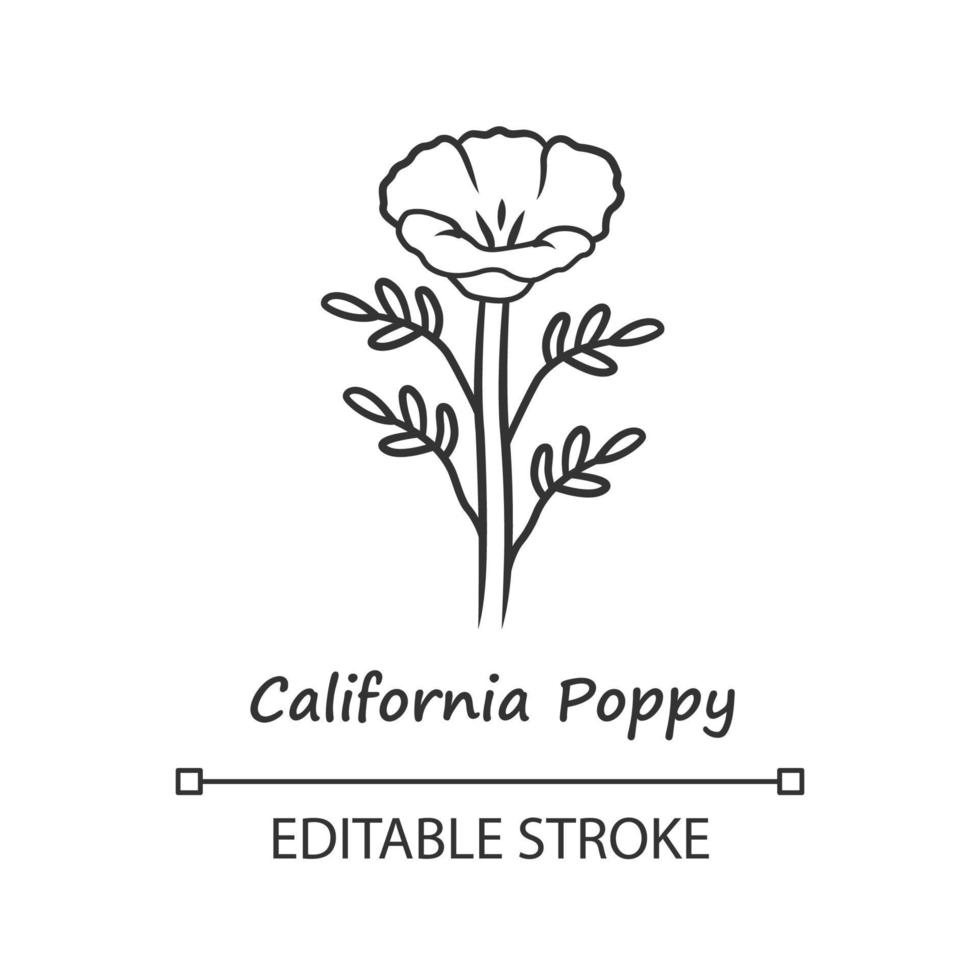 California poppy linear icon. Papaver rhoeas with name. Corn rose blooming wildflower. Herbaceous plants. Field poppy. Thin line illustration. Vector isolated outline drawing. Editable stroke