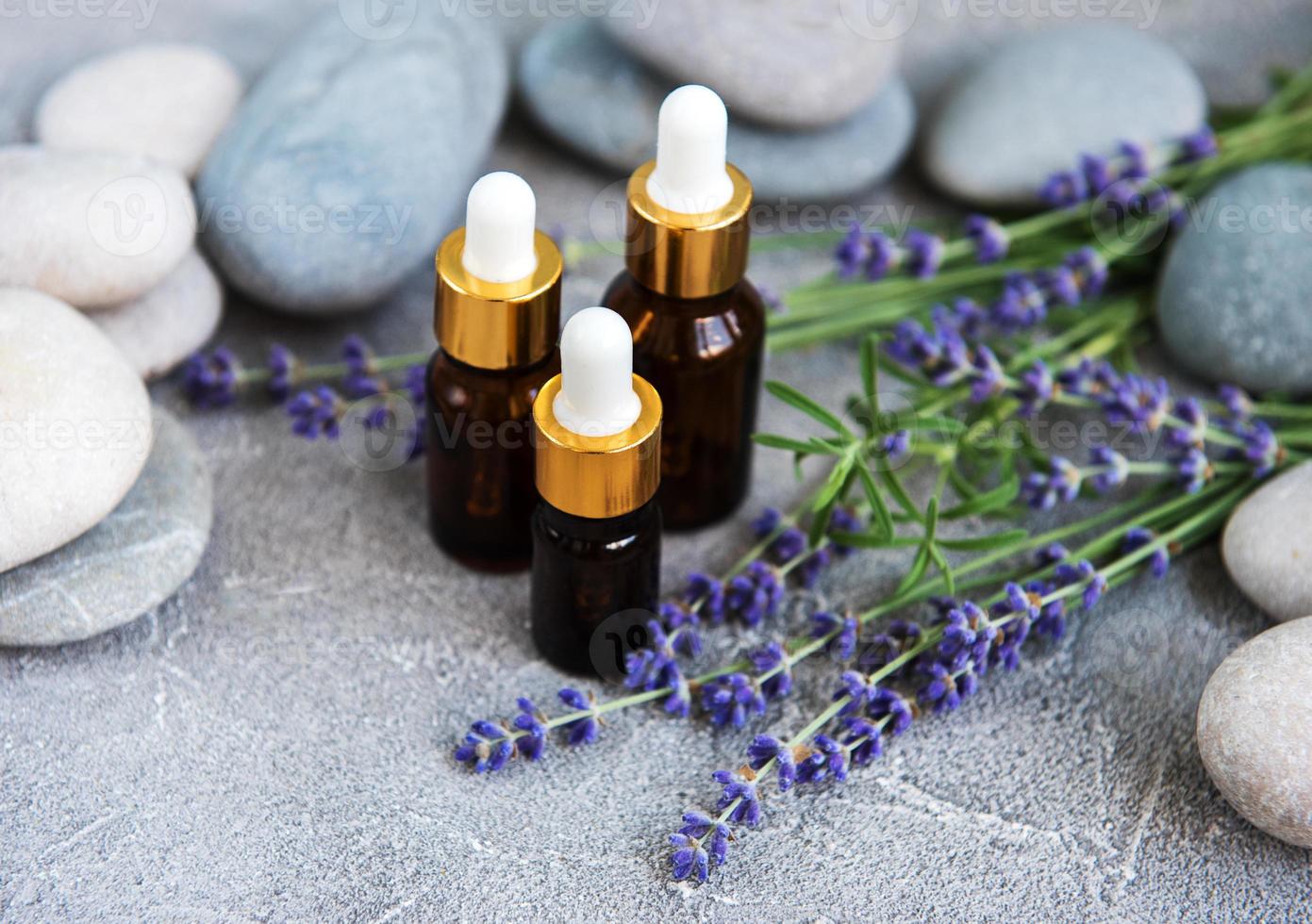 Essential oil with fresh lavender photo