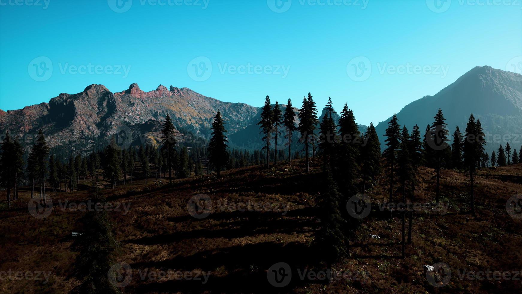 Landscape view of the mountain range with trees in the fall photo