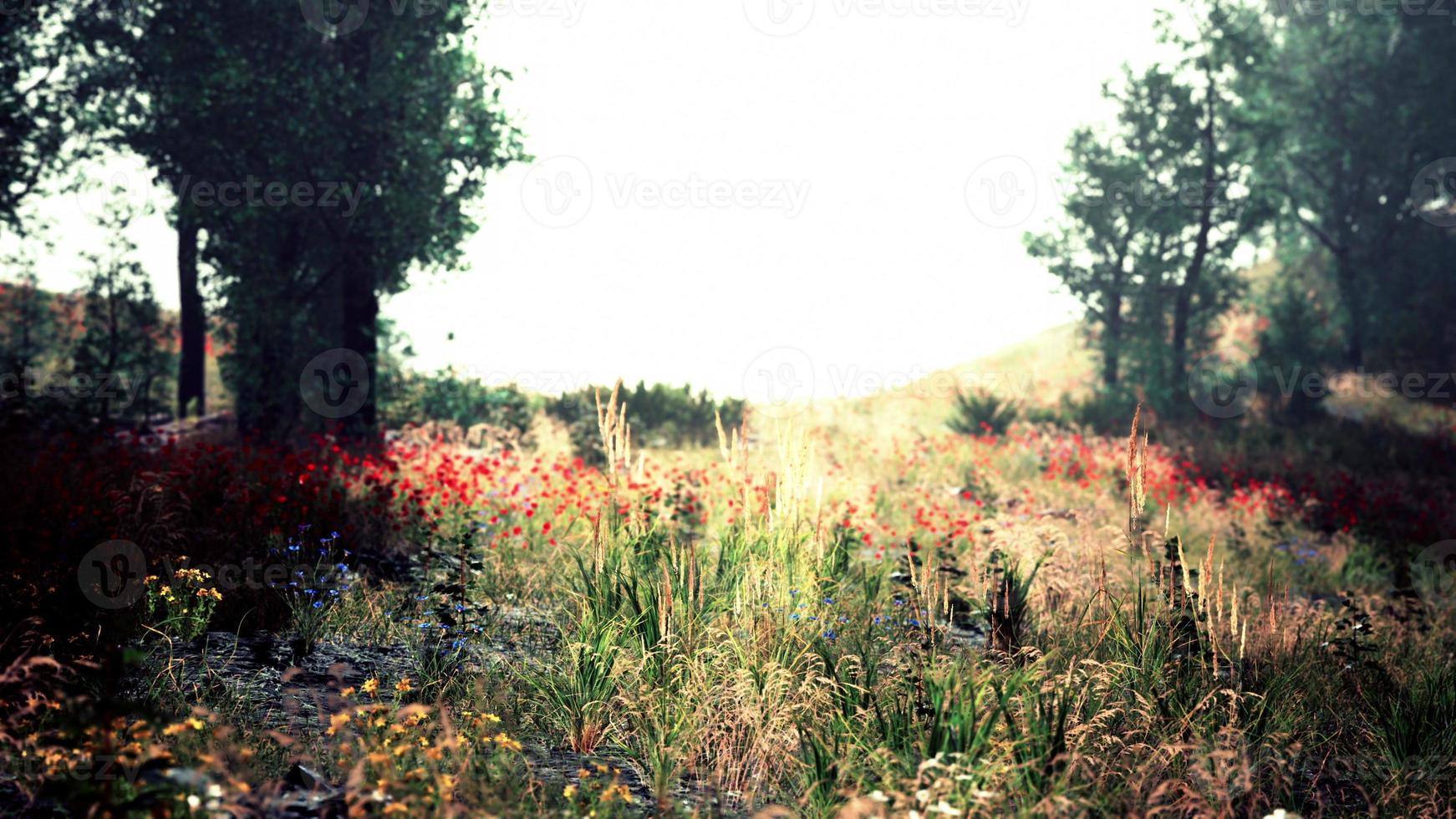 vista panorámica escénica del idílico paisaje de colinas onduladas con prados florecientes foto