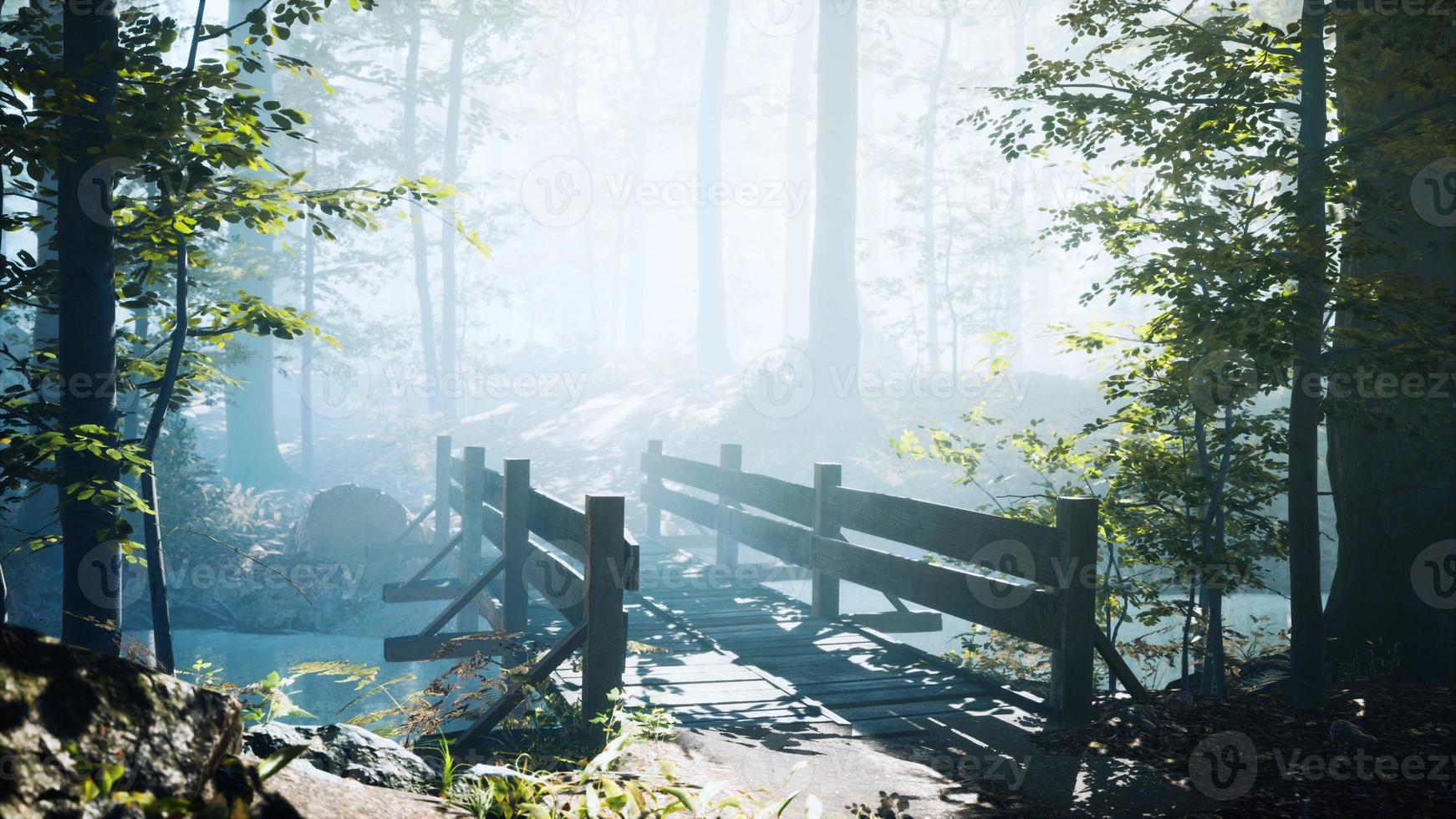 wooden bridge into forest with river photo