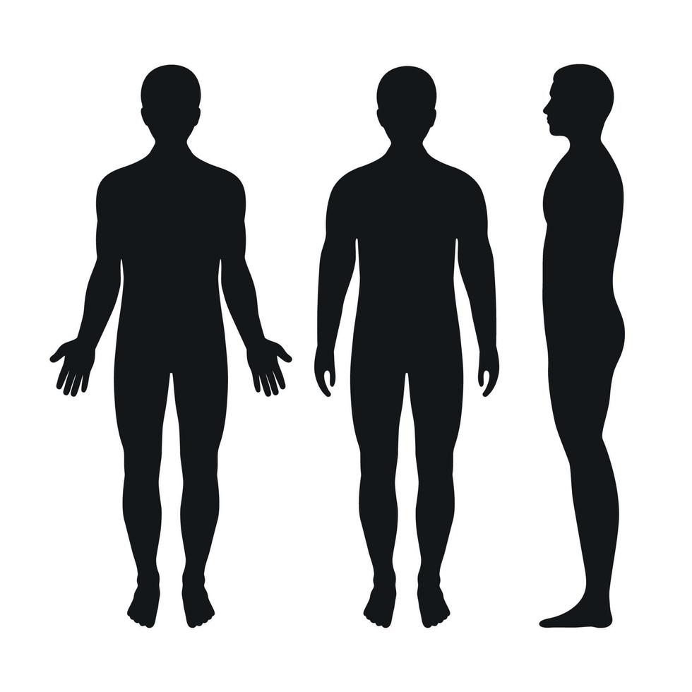 Man silhouette set vector