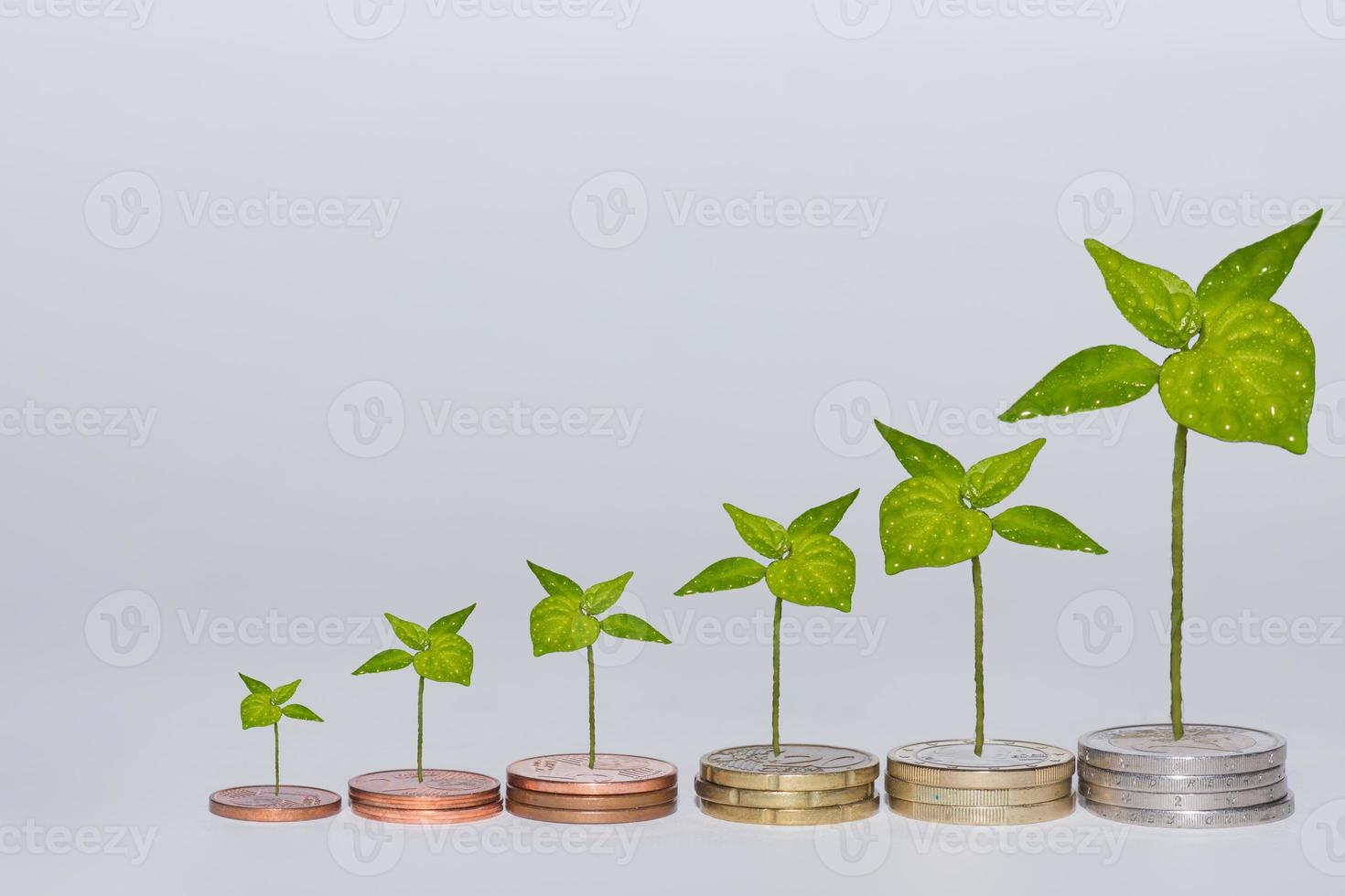 monedas de euro apiladas en una fila aumentando de valor con diferentes plantas verdes sobre fondo gris foto