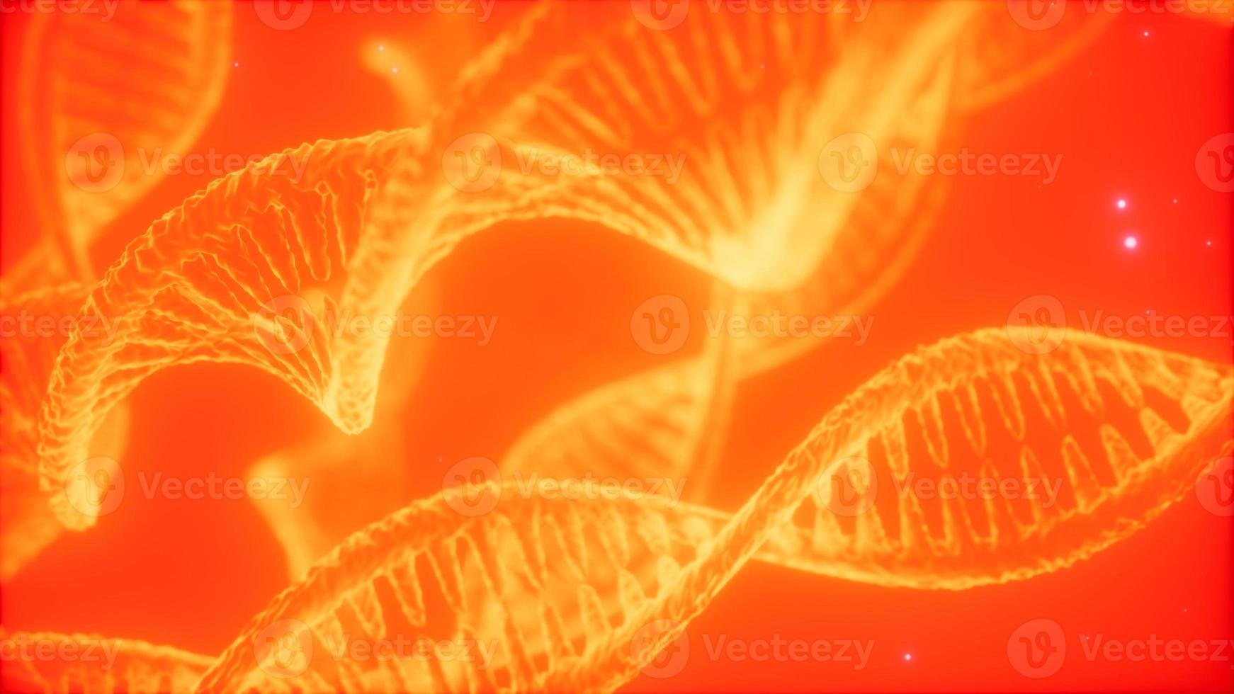 structure of the DNA double helix animation photo