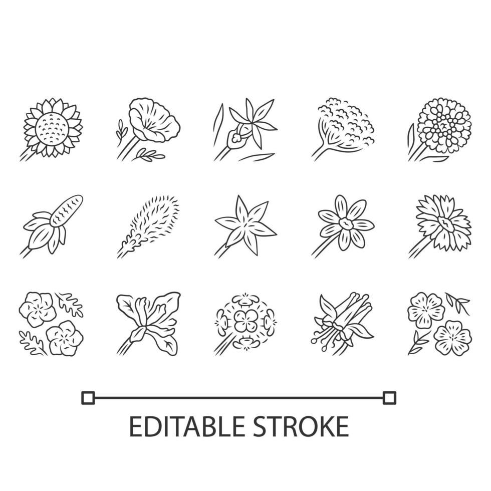 conjunto de iconos lineales de flores silvestres. símbolos de contorno de línea delgada. flor de primavera. flores silvestres de california. plantas florecientes decorativas de jardín. paquete botánico. ilustraciones vectoriales aisladas. trazo editable vector