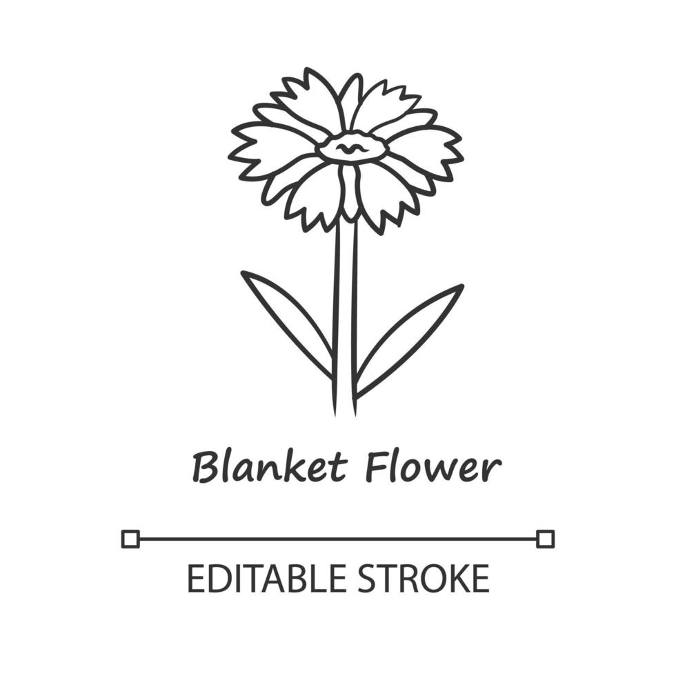 Blanket flower linear icon. Gaillardia aristata garden plant with name. Blooming wildflower. Summer and spring blossom. Thin line illustration. Contour symbol. Vector isolated drawing. Editable stroke