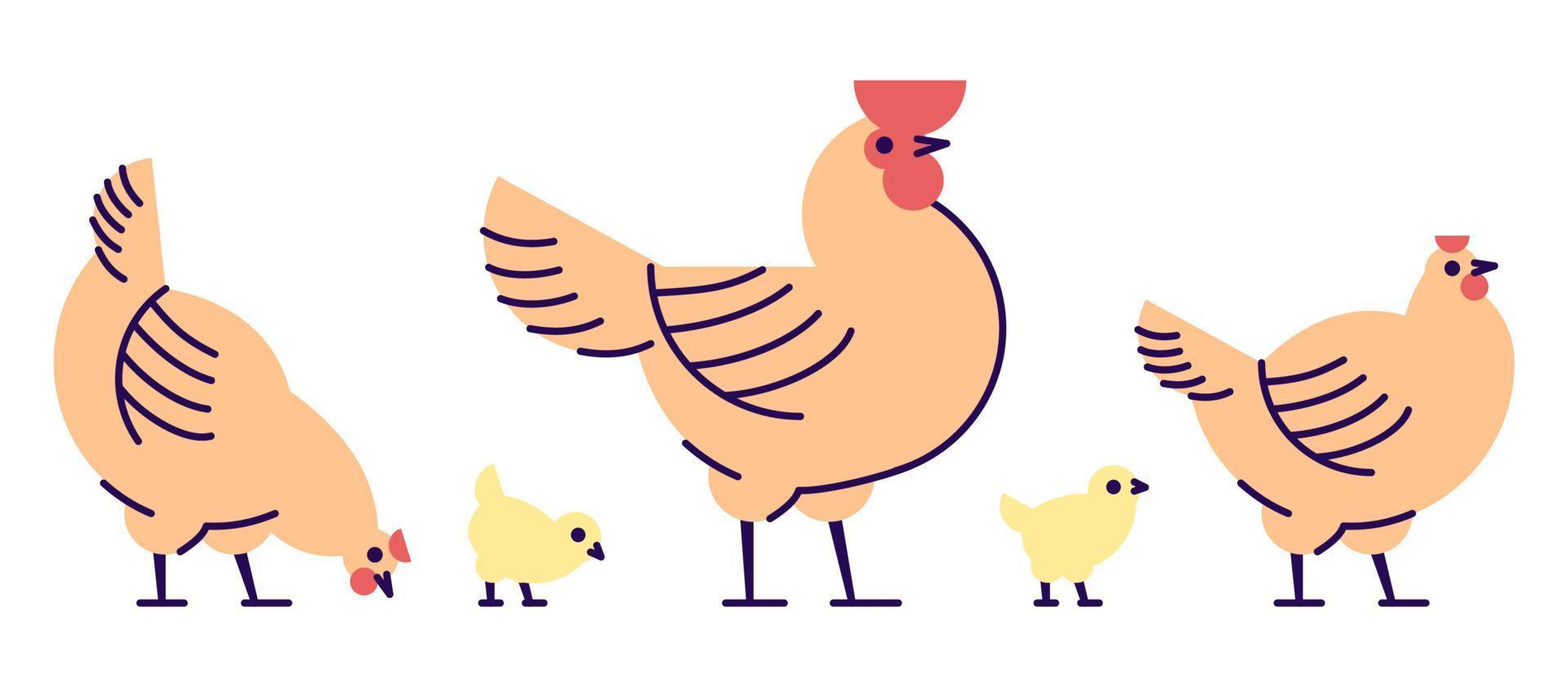 Chicken flat vector illustration. Isolated orange rooster, hens and yellow cute chicks. Hennery, poultry farm, bird breeding cartoon design elements with outline. Chicken meat production