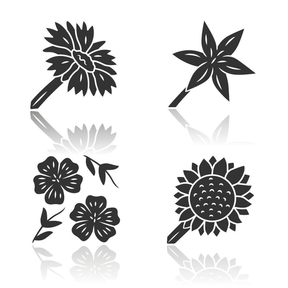 Wild flowers drop shadow black glyph icons set. Common star lily, blue flax, helianthus, blanket flower. Blooming wildflowers. Field, meadow herbaceous plants, weed. Isolated vector illustrations