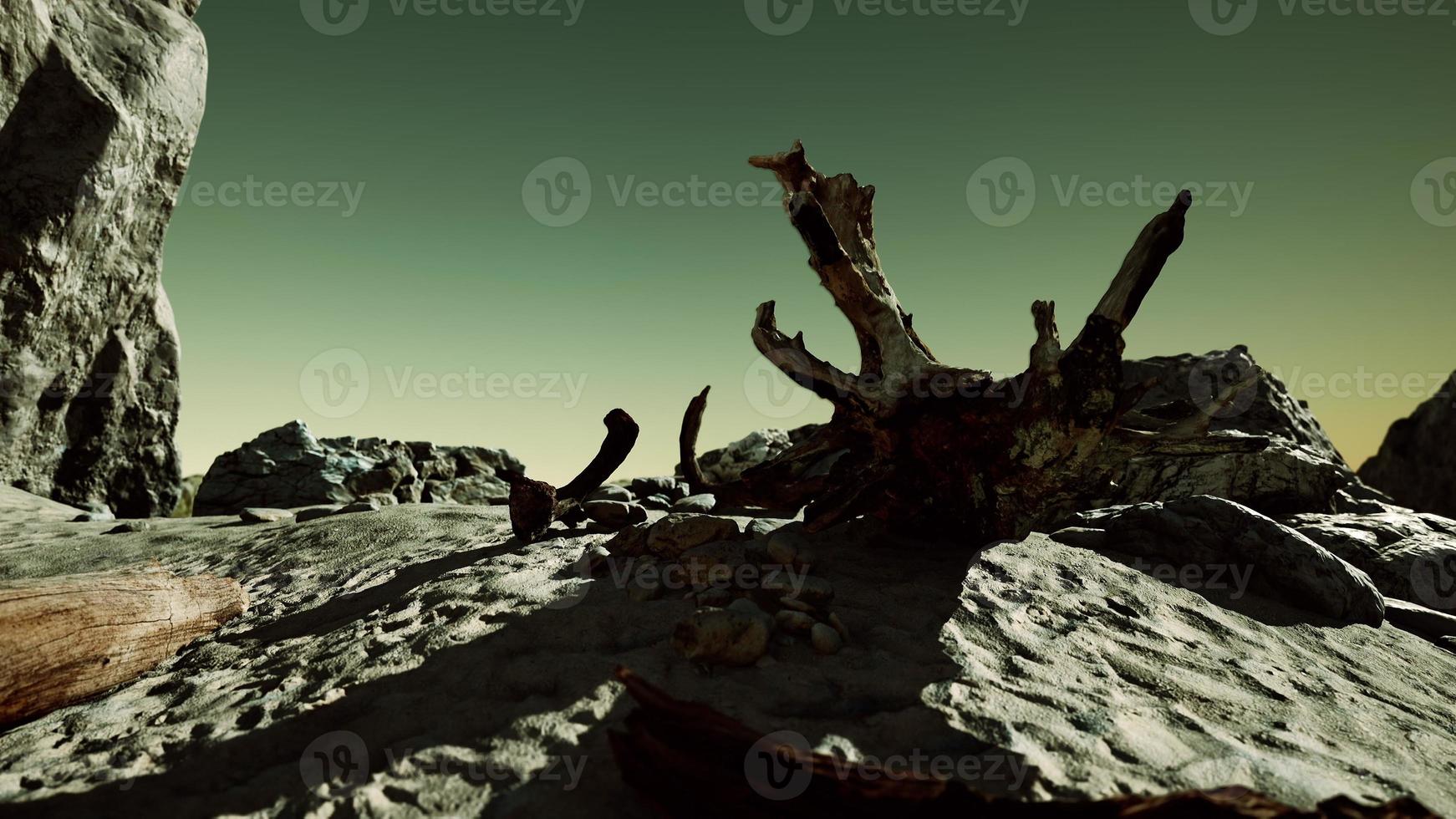 Time lapse of logs on a beach coast of Majorca photo