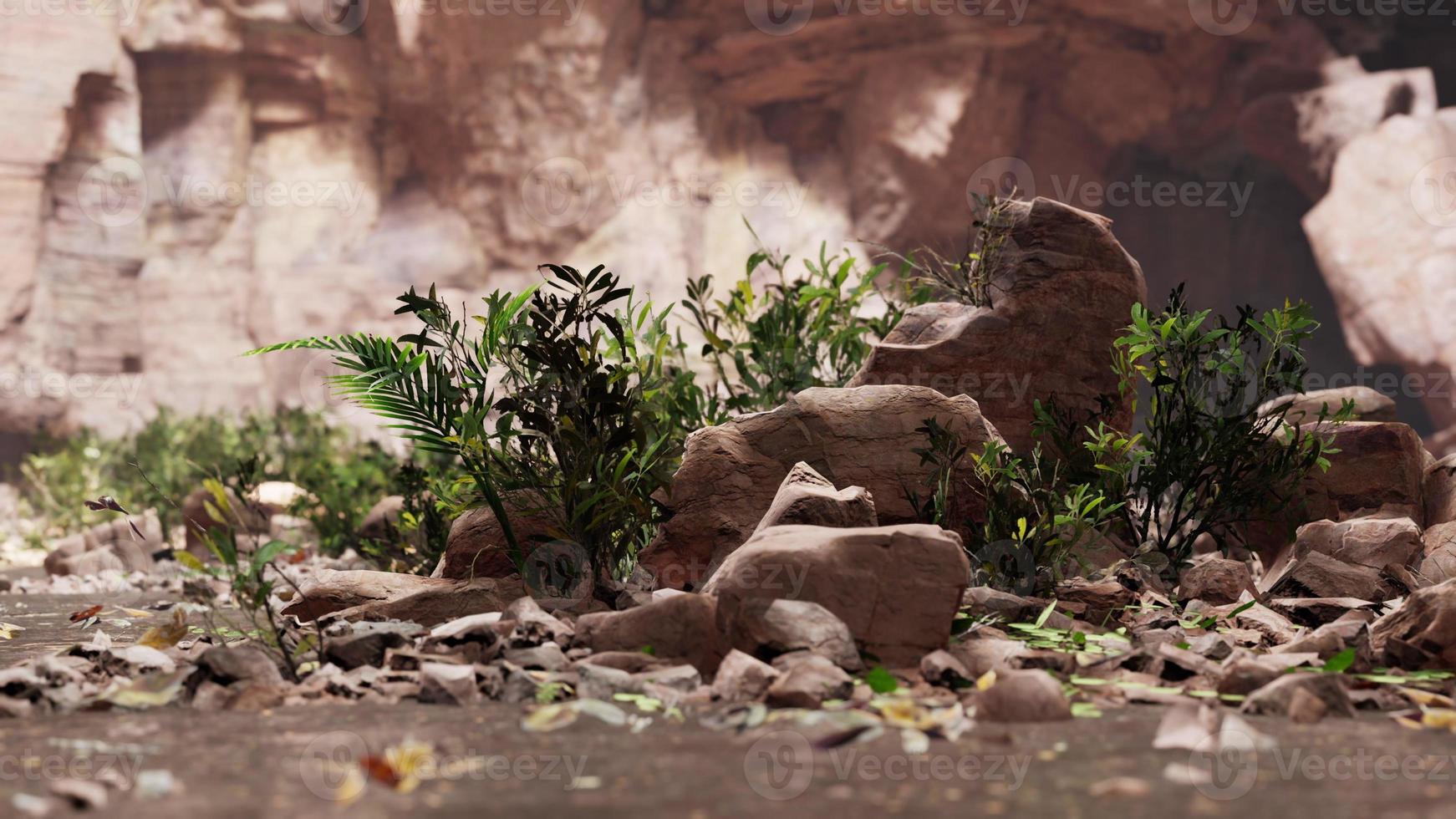 large fairy rocky cave with green plants photo