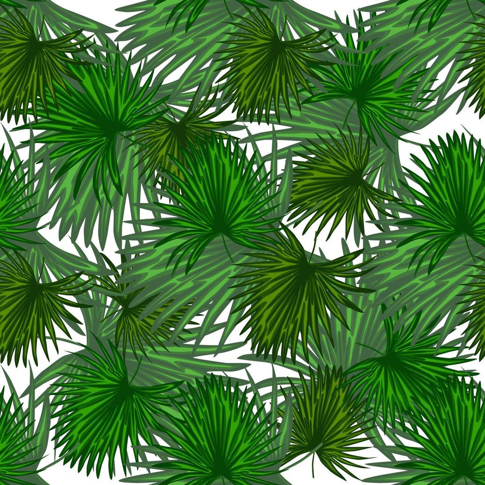 fondo de pantalla de hoja de monstera. Resumen de patrones sin fisuras de plantas exóticas. vector