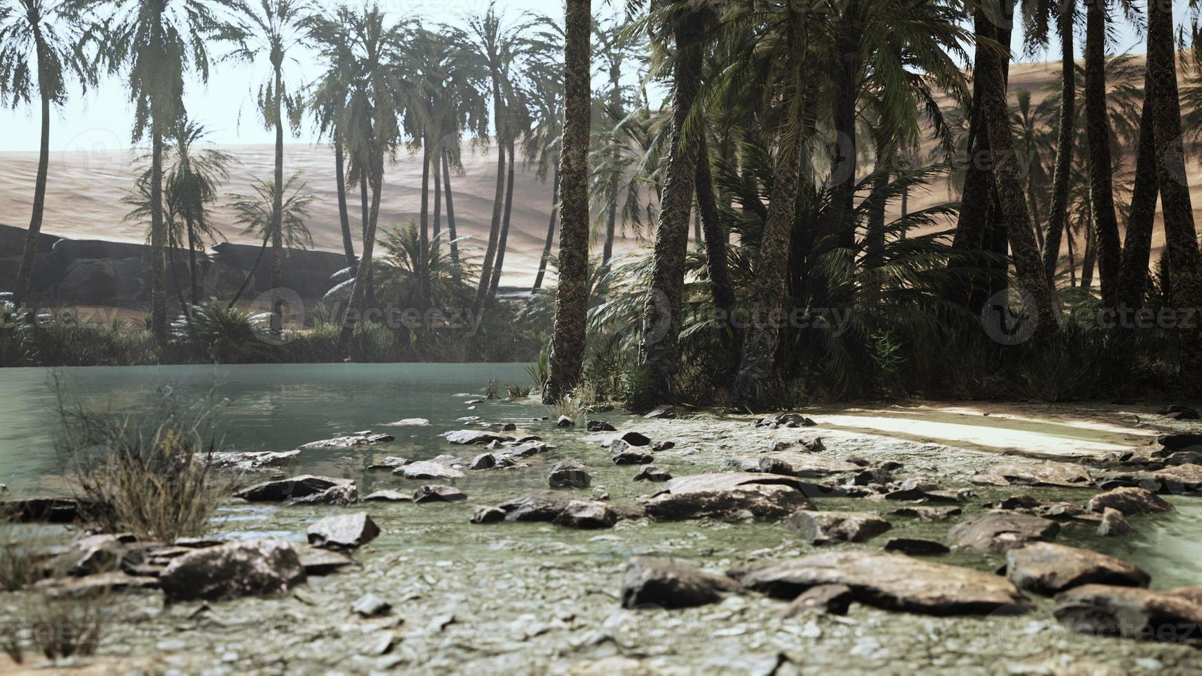 Panorama of Beautiful Oasis surrounded by sand dunes photo