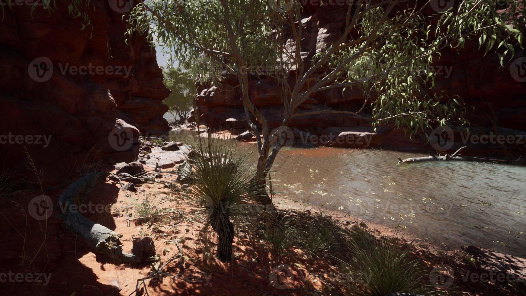 reflection in Colorado River in Grand Canyon photo