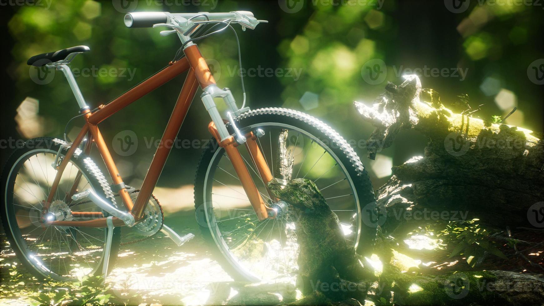 Mountain bike on the forest path photo