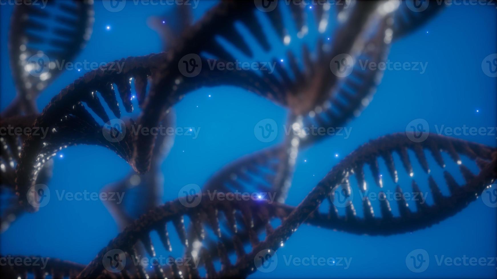 structure of the DNA double helix animation photo