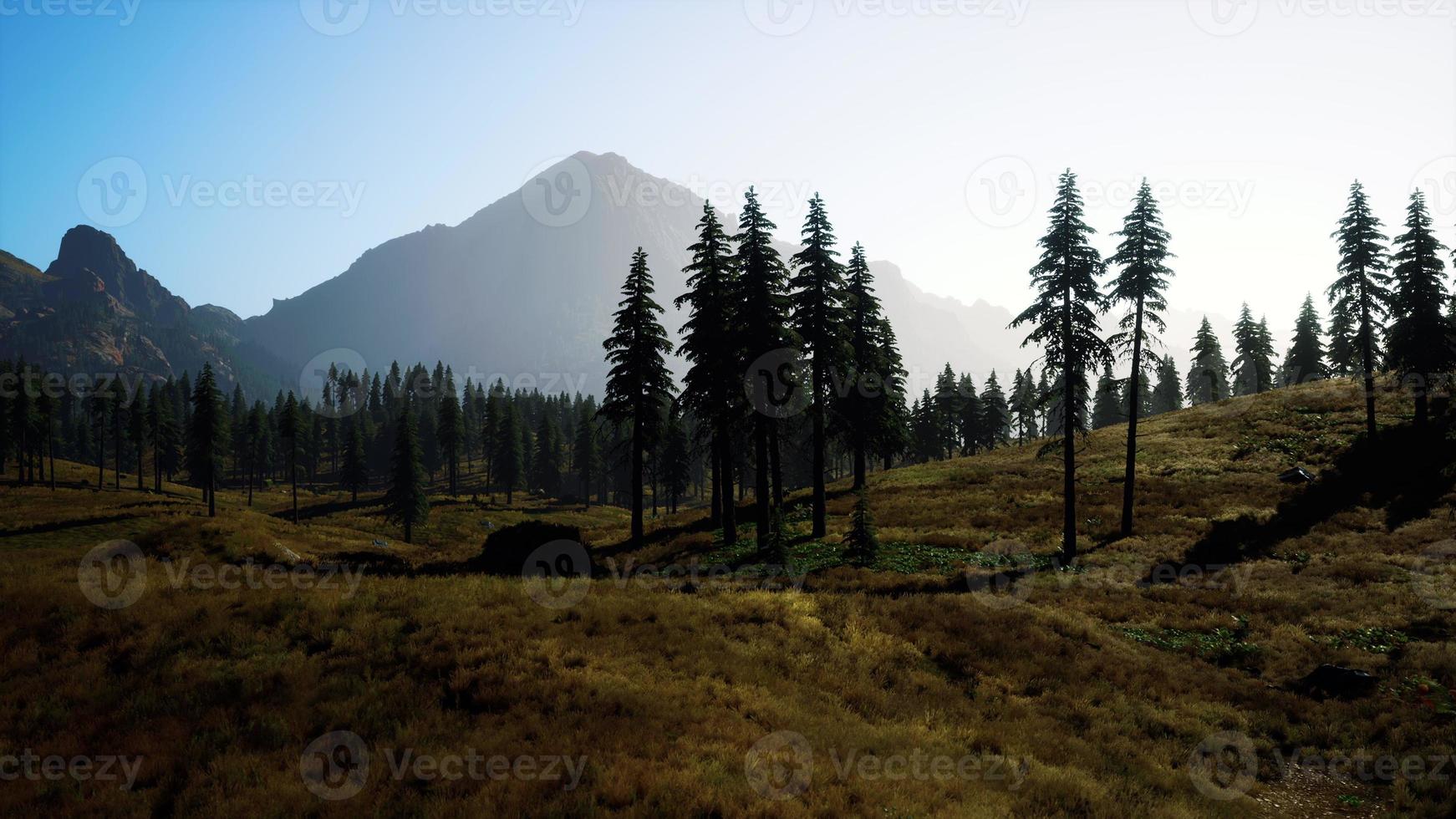 Aerial view over Mountain range with pine forest in Bavaria photo