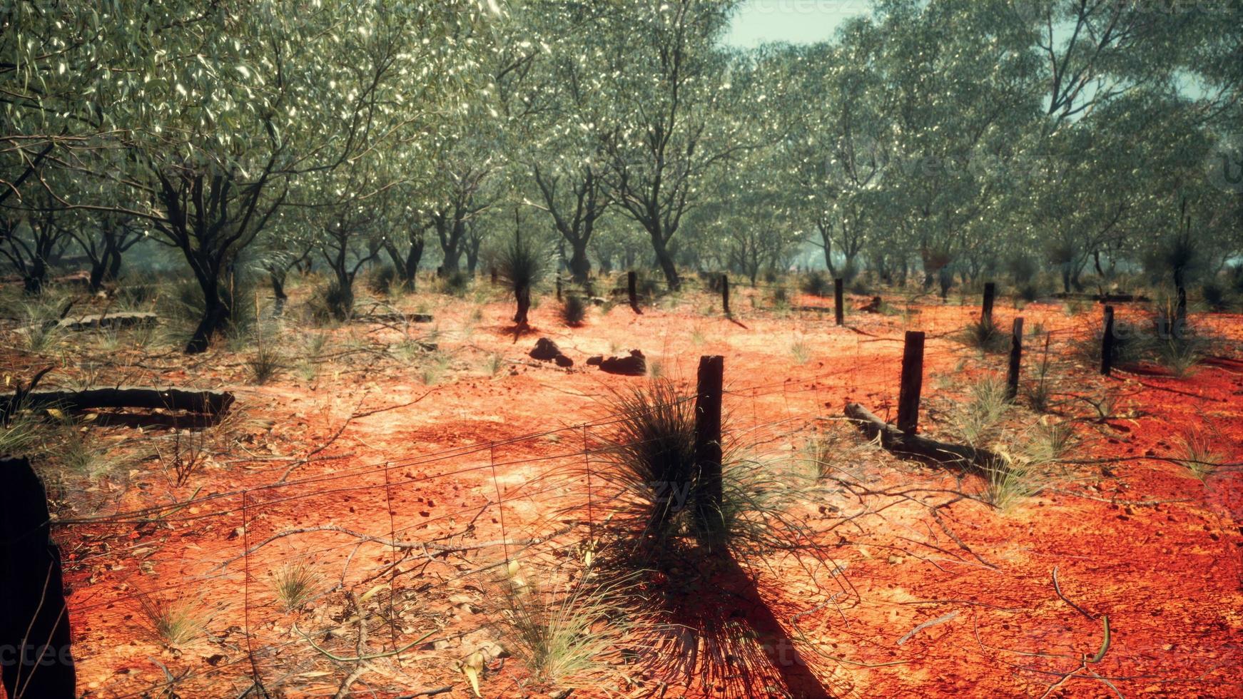 cercas de límites de fincas rurales en malas condiciones y pasto seco muerto hace mucho tiempo foto