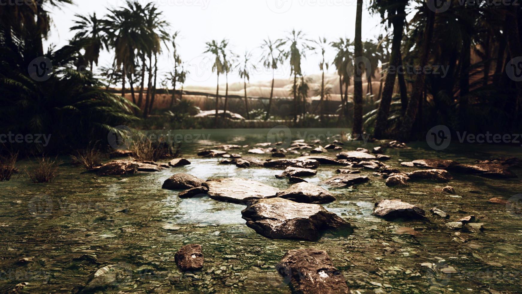 Desert oasis pond with palm trees and plants photo