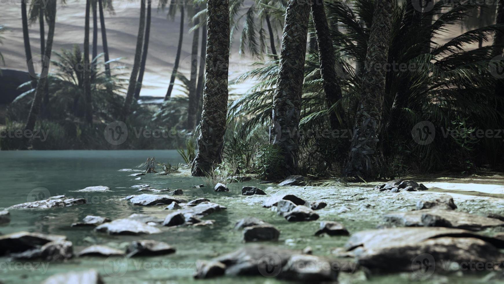 Pond and palm trees in desert oasis photo