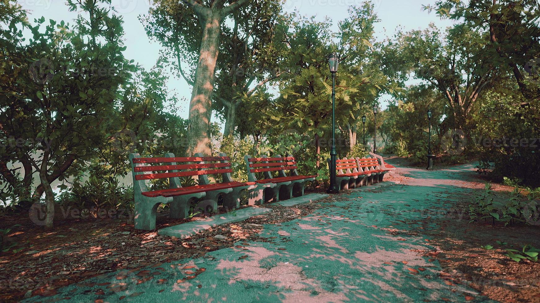 Empty benches at public park during curfew cause of Corona Virus quarantine photo