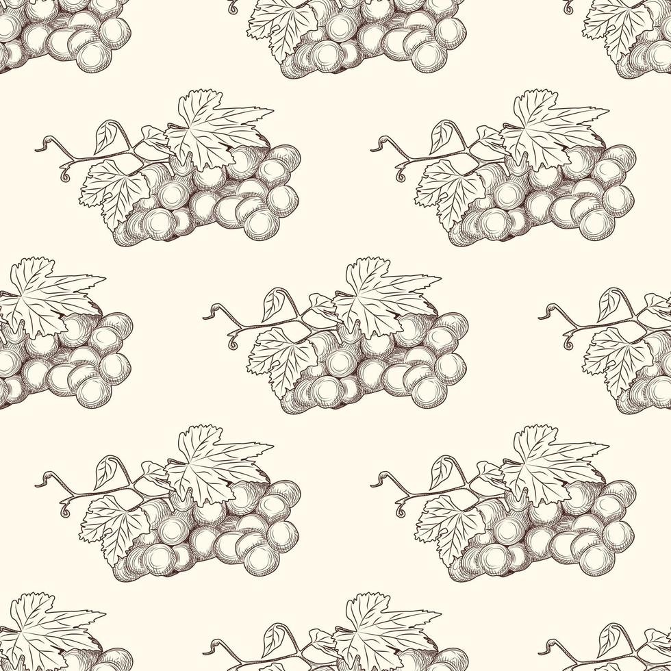 Hand drawn grape bunches and leaves seamless pattern. vector