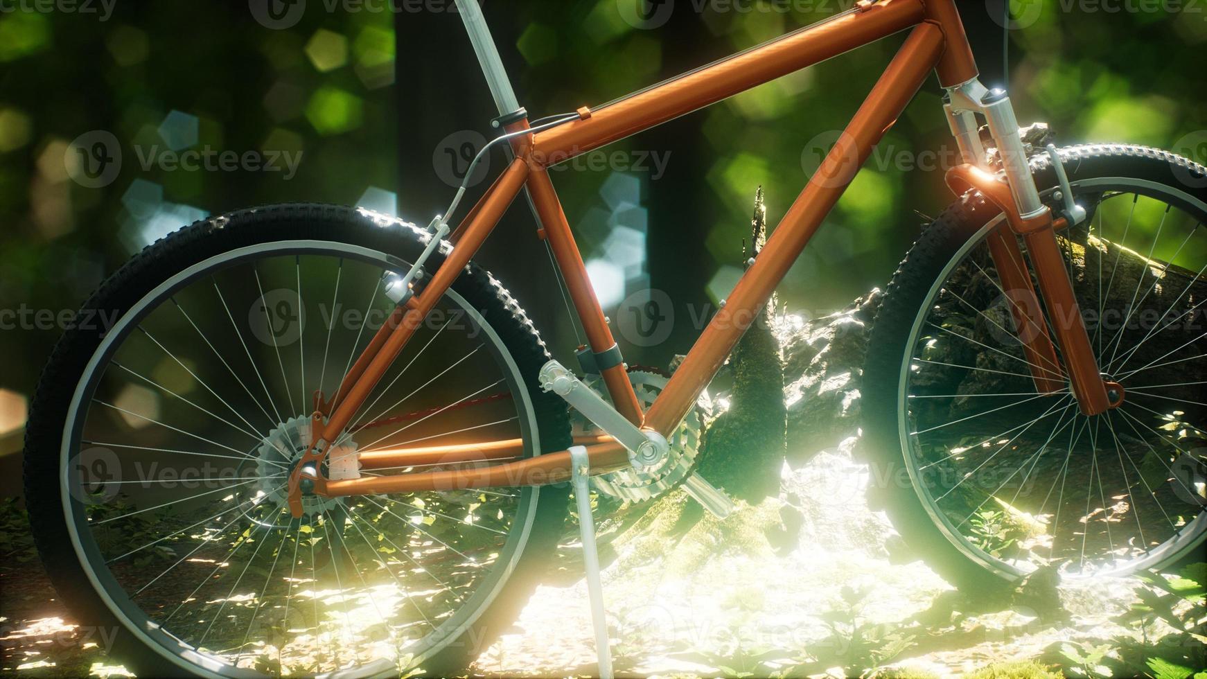 Mountain bike on the forest path photo