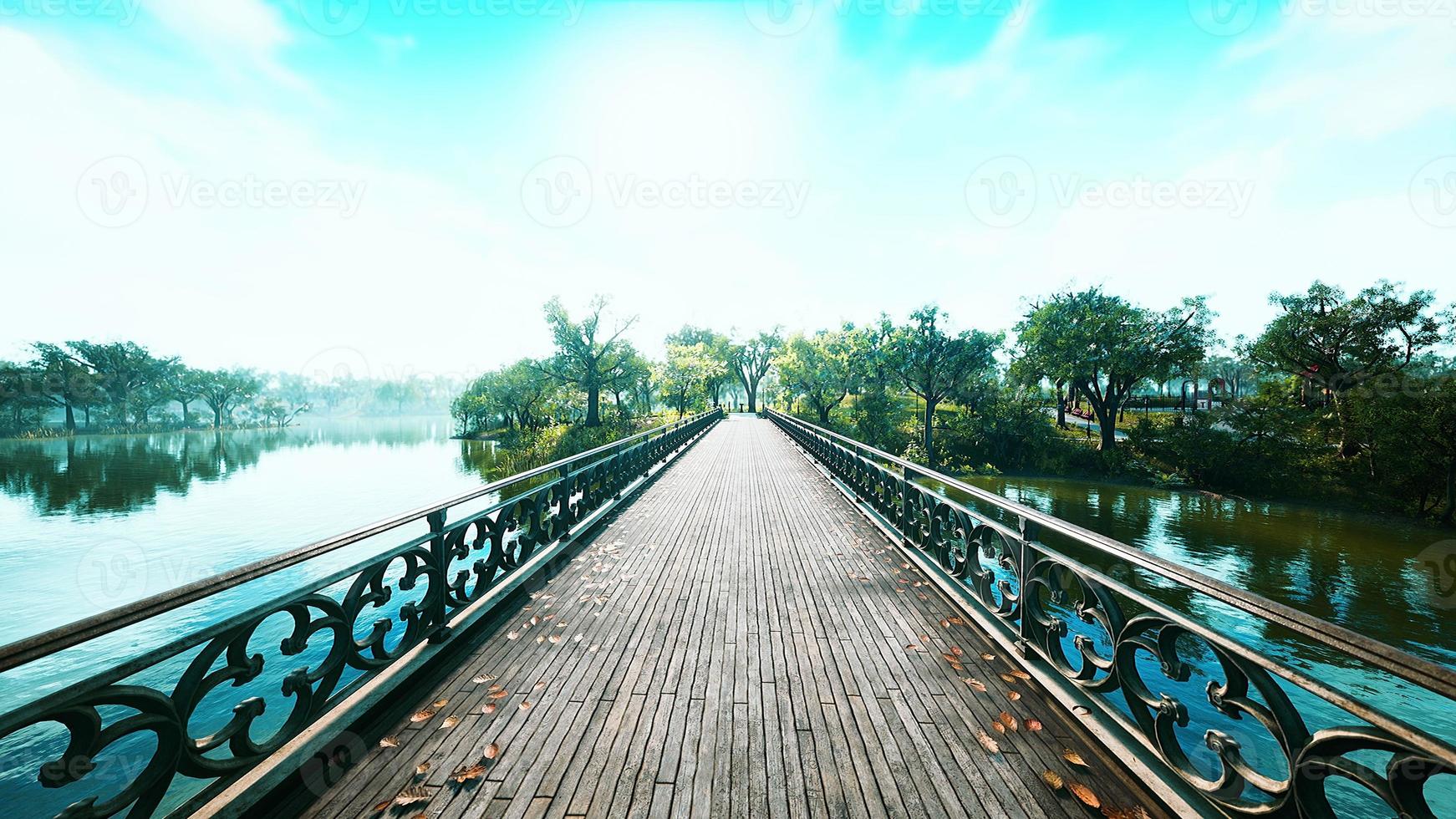 8k old bridge in park in summer time photo