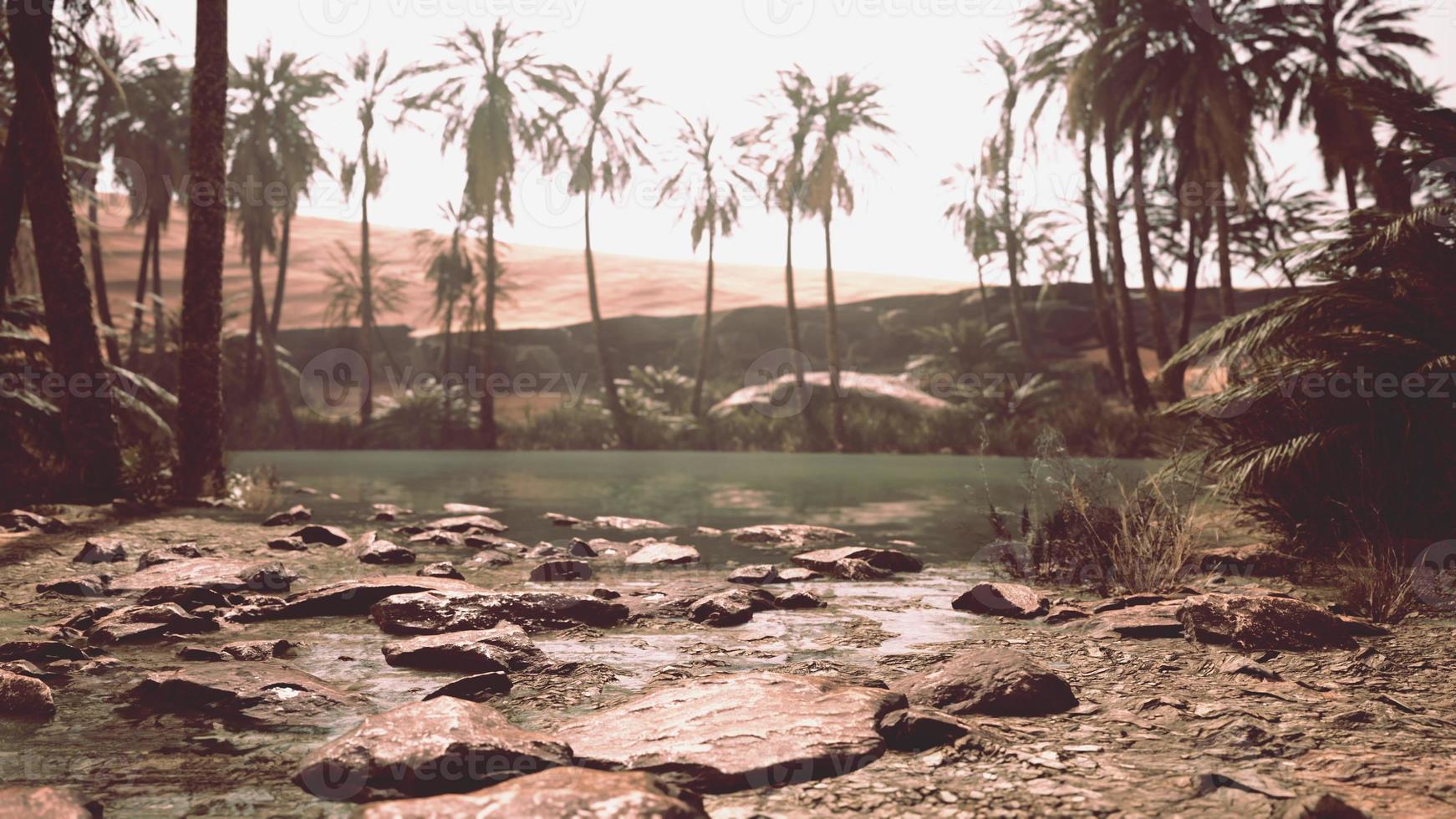 oasis in the middle of the desert with a lot of trees photo