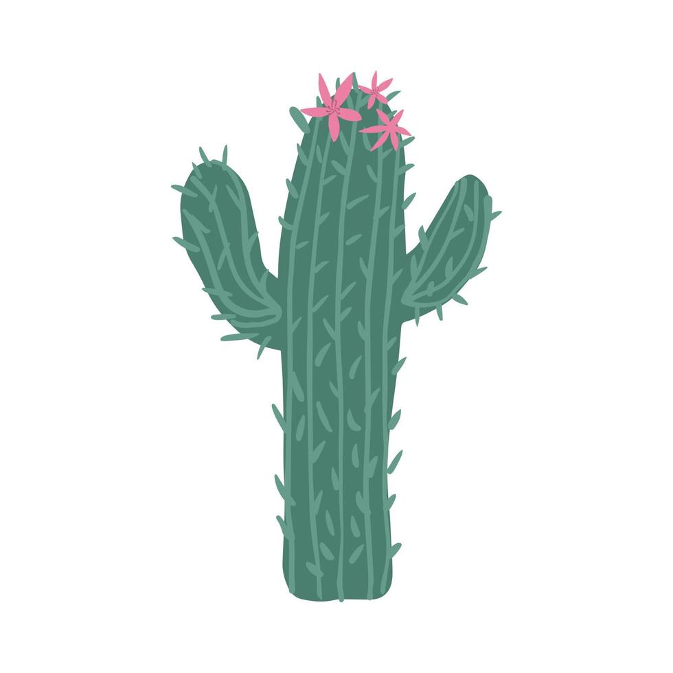 Cacti flower isolated on white background. Cactus in doodle style. Cute prickly green cactus. vector