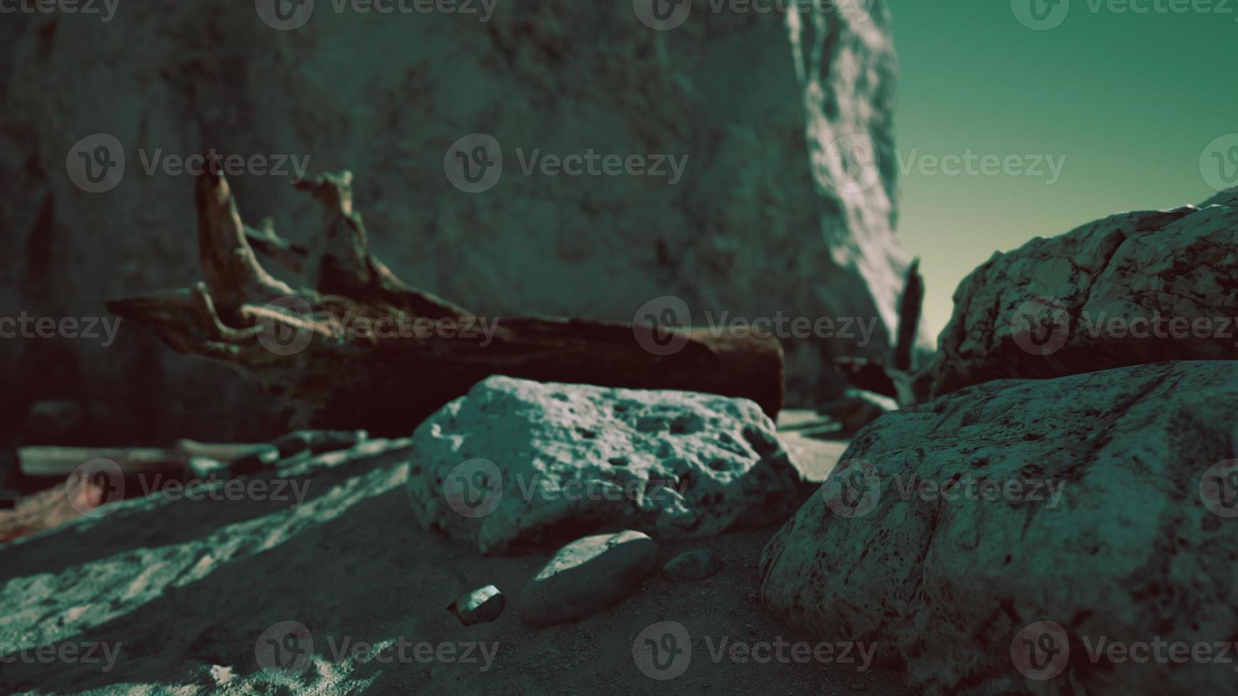 Time lapse of logs on a beach coast of Majorca photo
