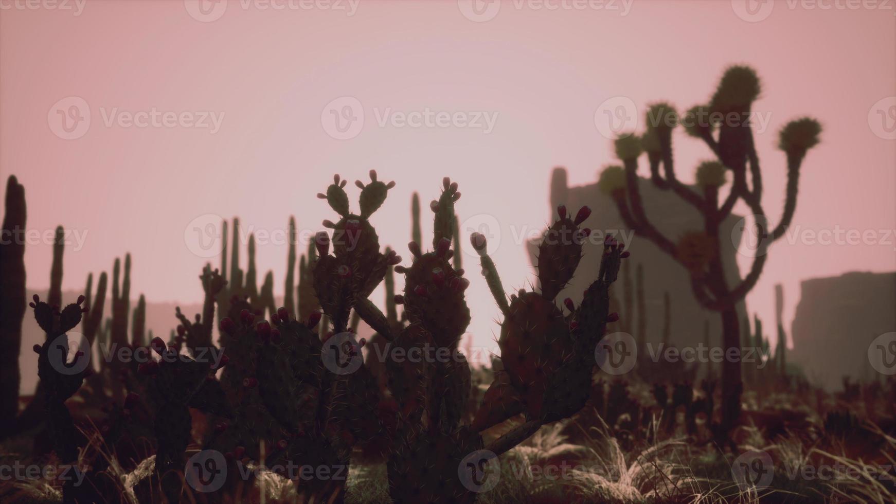 rayo de luz solar disparando a través del cielo del desierto al atardecer foto