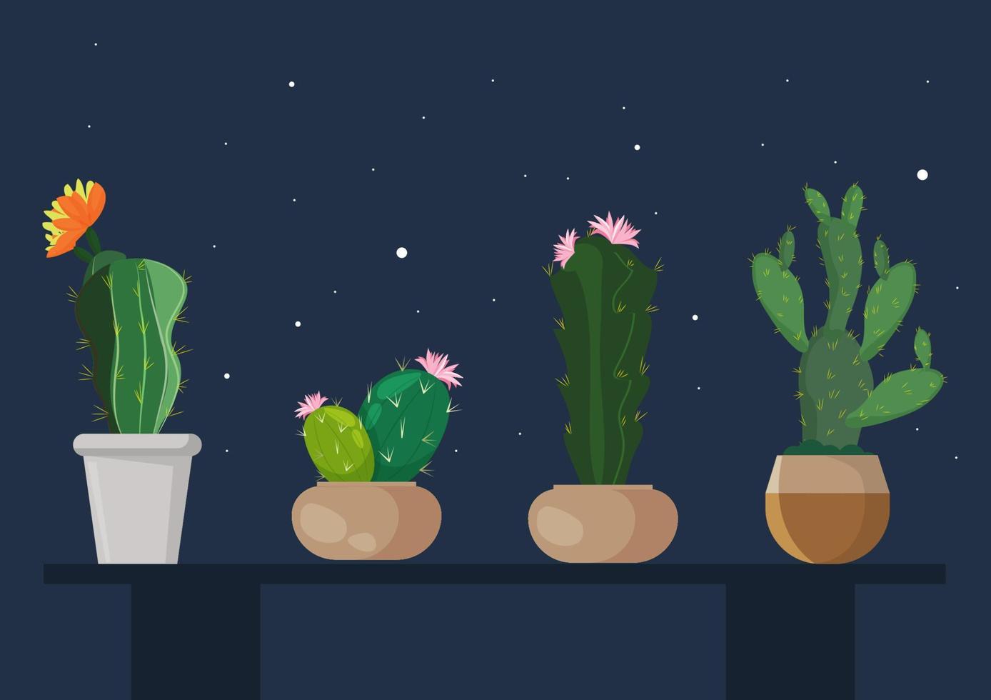 conjunto de cactus coloridos en macetas separadas sobre fondo de cielo nocturno. vector de ilustración de dibujos animados de estilo plano