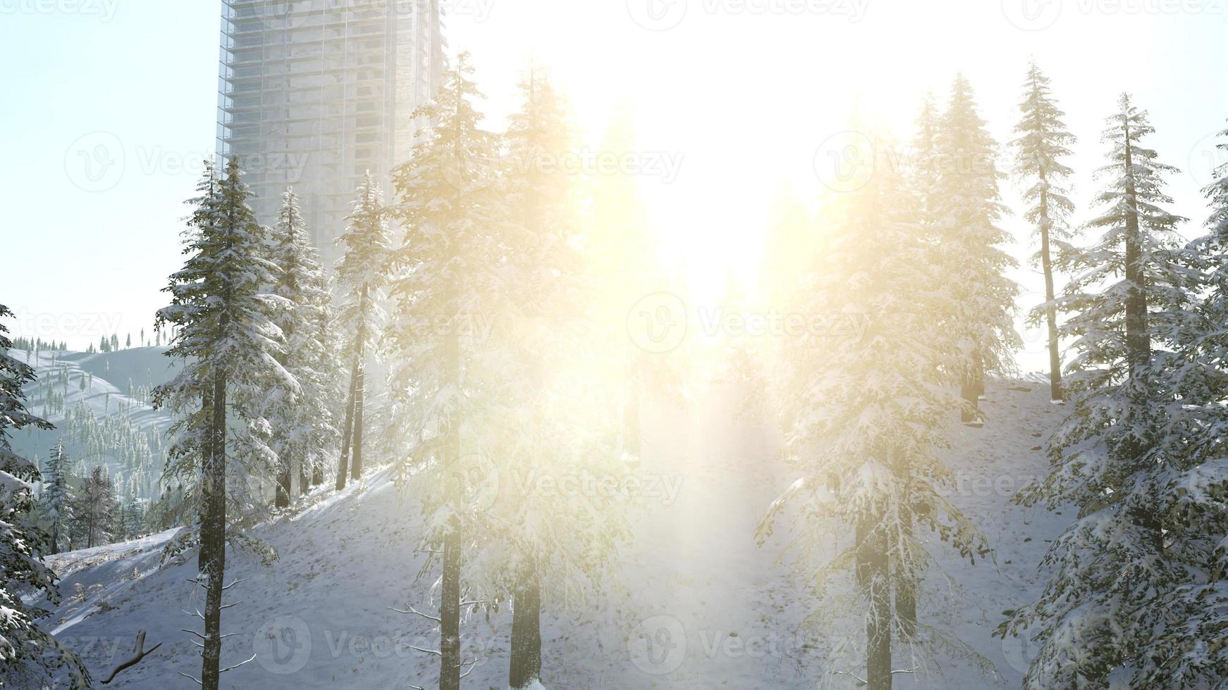 City and Forest in Snow photo