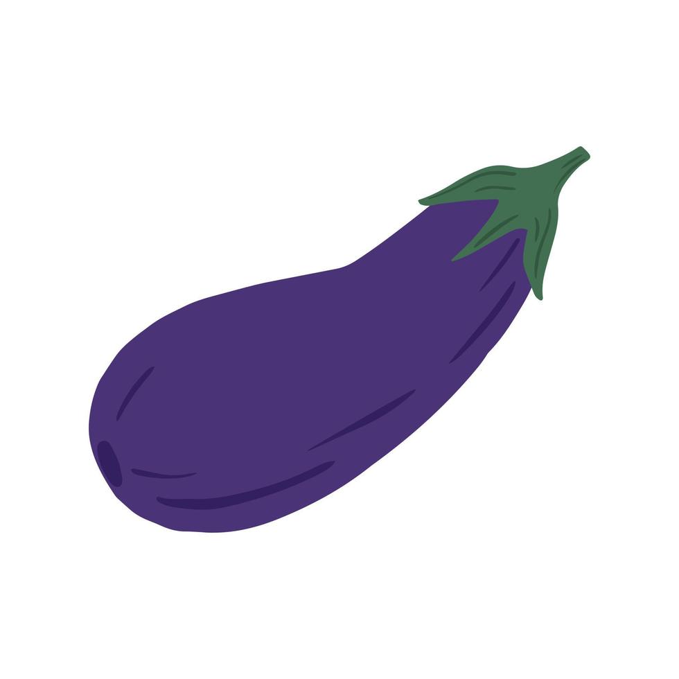 Eggplant in doodle style isolated on white background. Hand drawn aubergine vegetable. vector