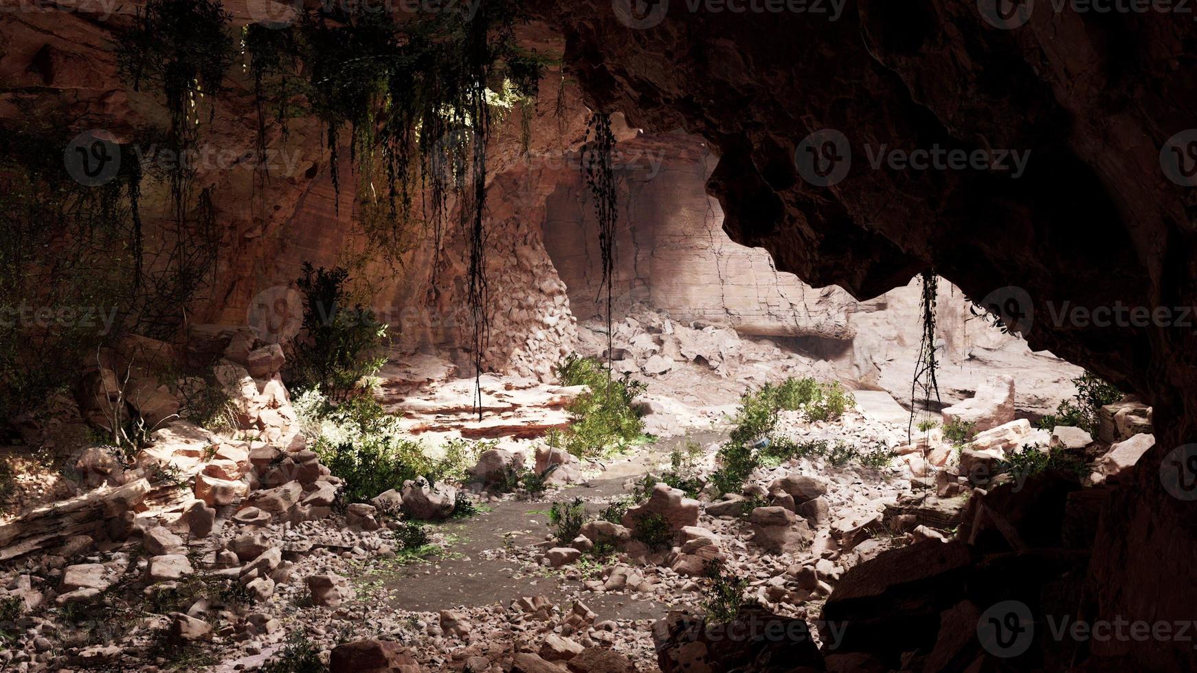 cueva en un volcán extinto cubierto de hierba y plantas foto