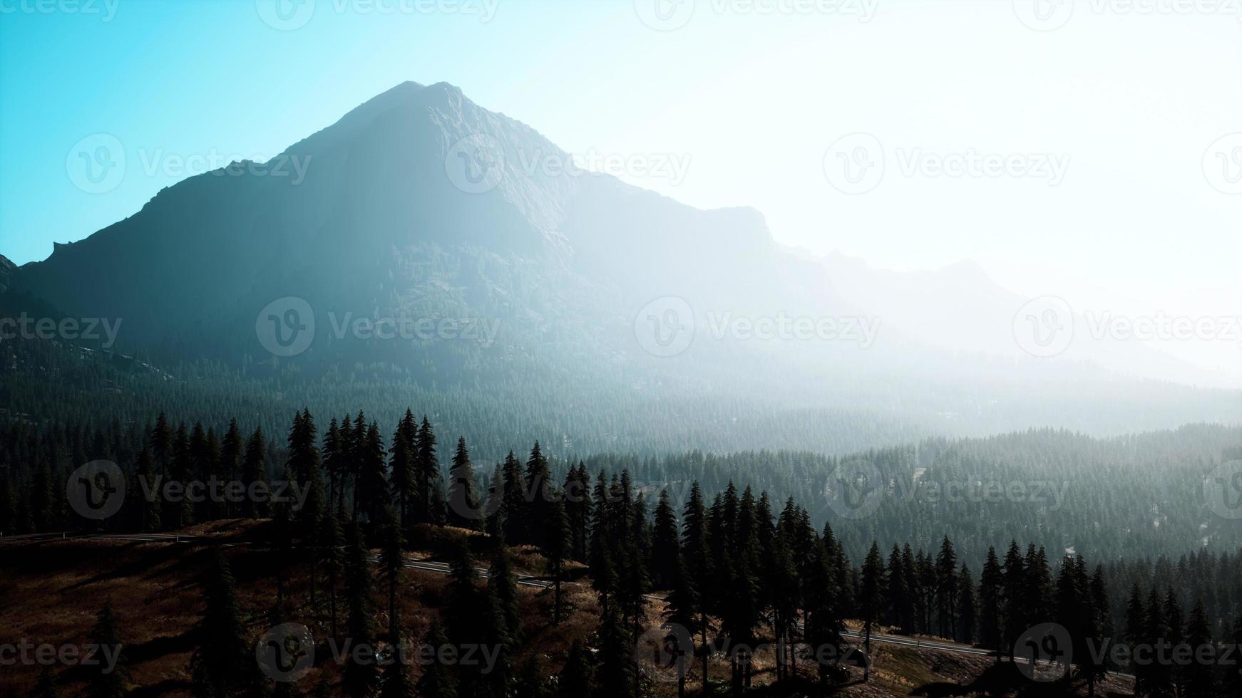 Aerial view over Mountain range with pine forest in Bavaria photo