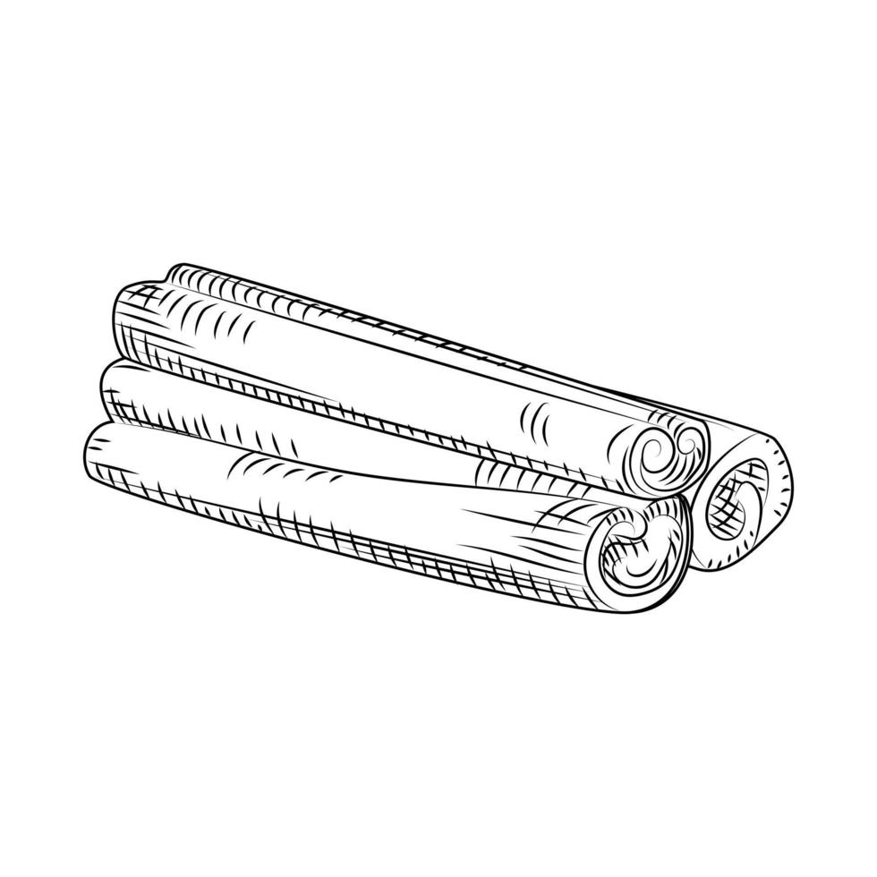 Ink hand drawn cinnamon stick isolated on white background. vector