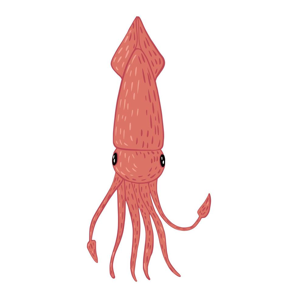 Squid full face isolated on white background. Cartoon cute characters hand drawn design. vector