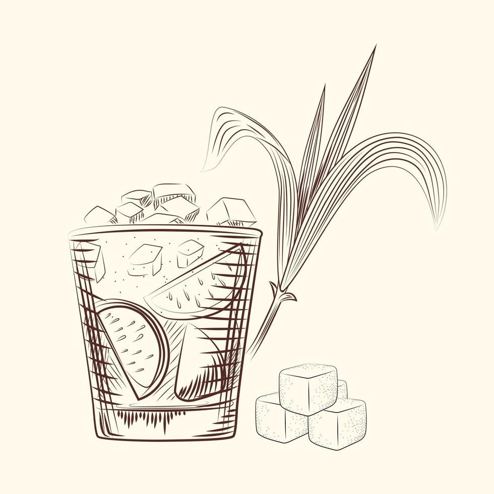 Hand draw cane leaves. Alcohol cocktail in glass, sugar plant stalk and cubes. vector