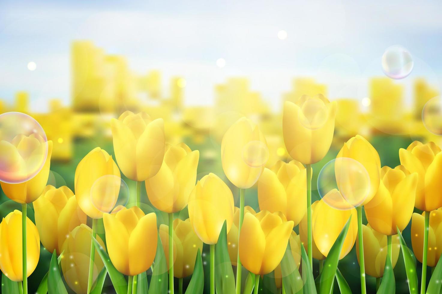 Yellow tulips flowers in the garden. vector