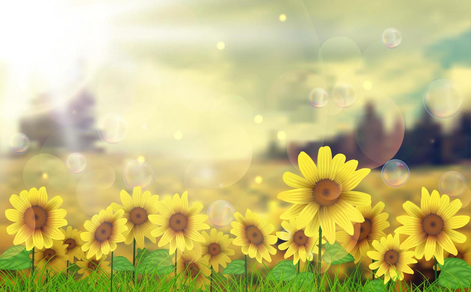 Summer sun over the sunflower field vector