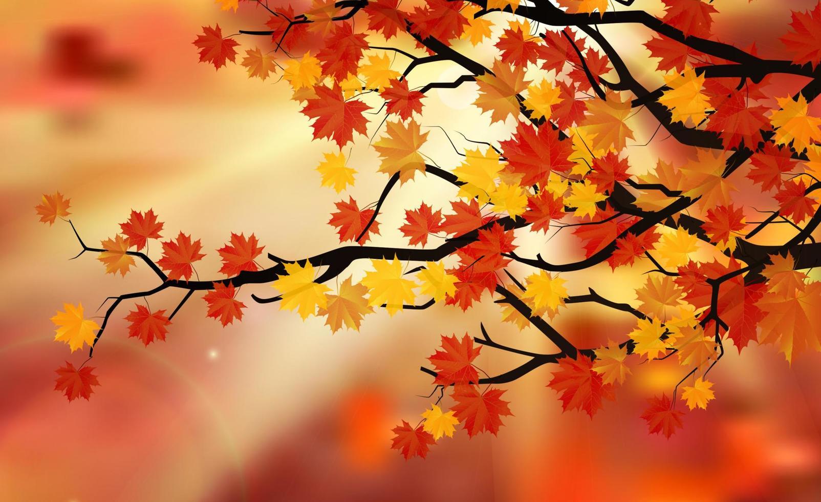 Bright colorful leaves on the branches in the autumn forest. Vector