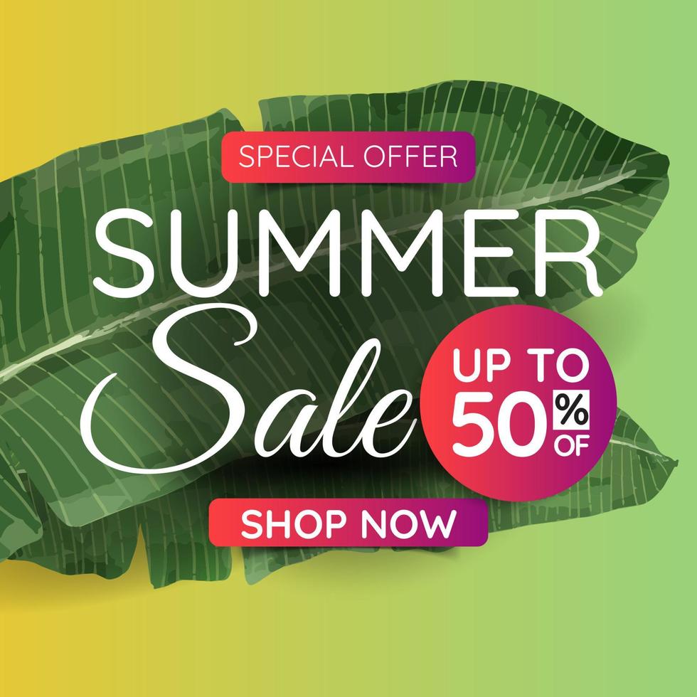 Summer banner, tropical leaves. Suitable for social media posts. vector