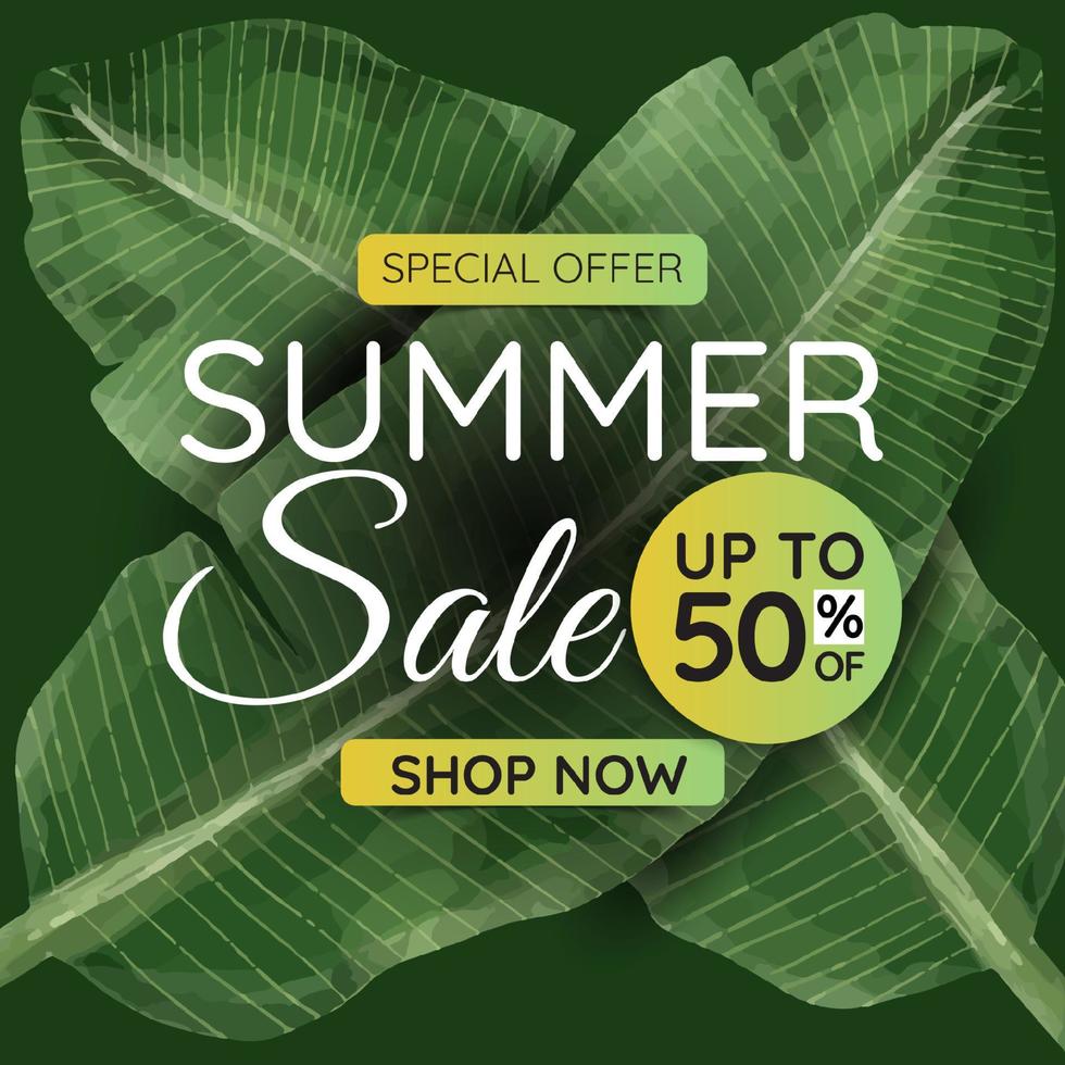 Summer banner, tropical leaves. Suitable for social media posts. vector