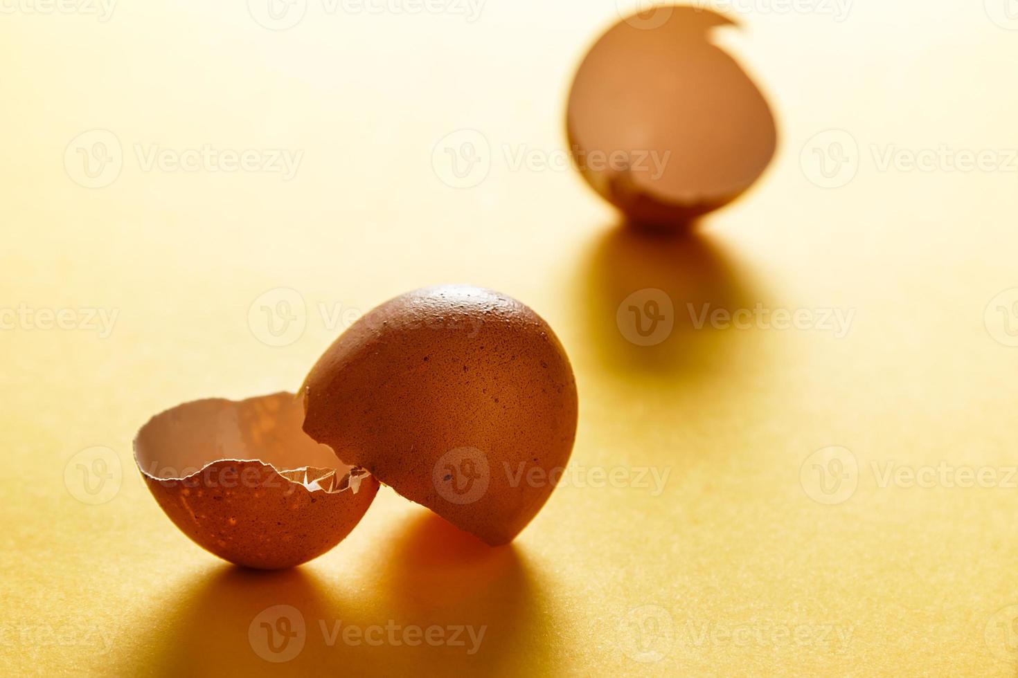 Backlighting eggshells on yellow surface. photo