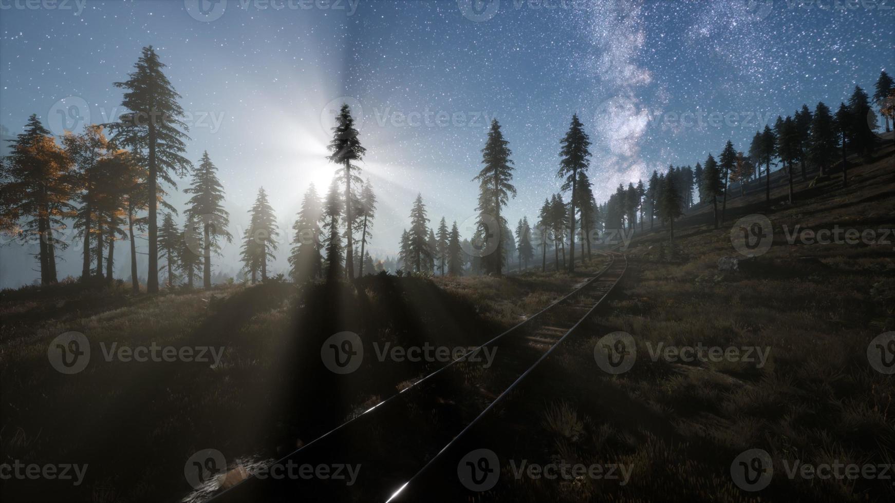 The milky way above the railway and forest photo