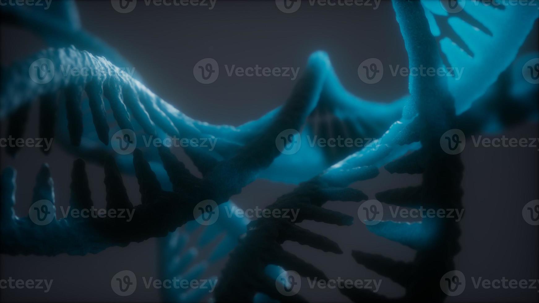 loop double helical structure of dna strand close-up animation photo