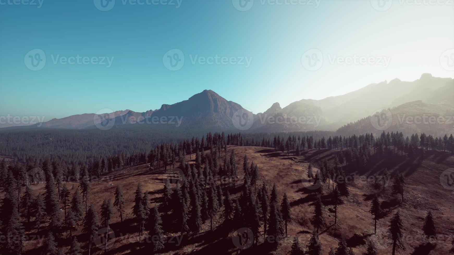 Rocky mountain range with trees photo