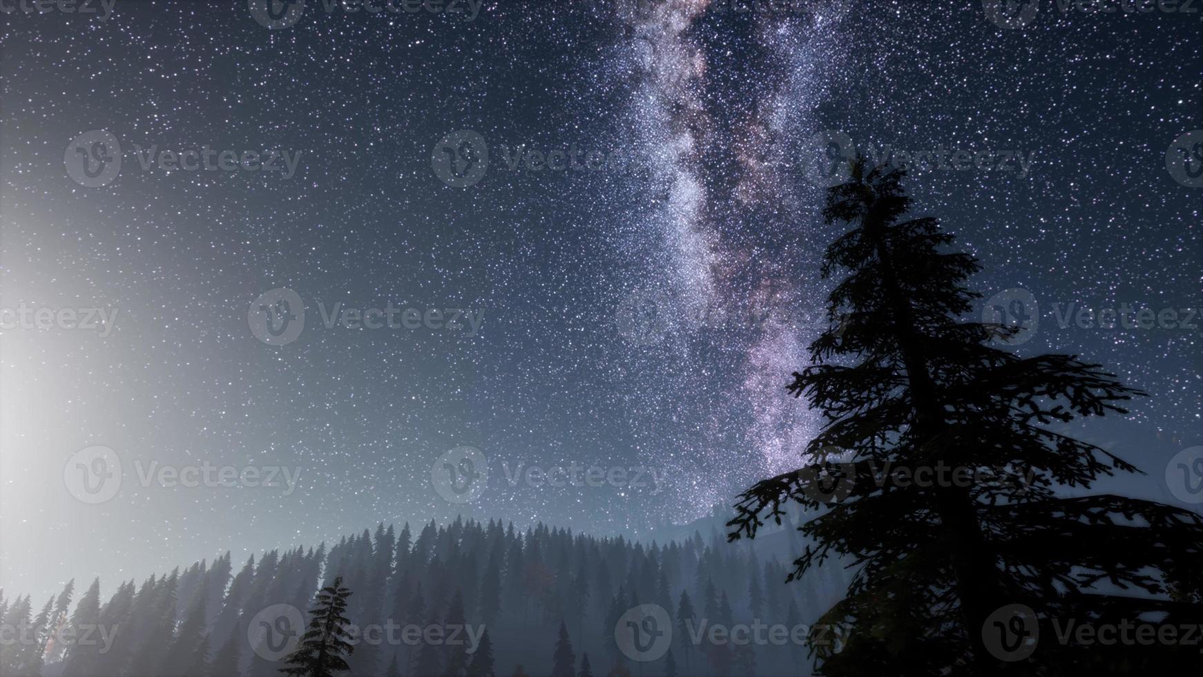 Milky Way stars with moonlight above pine trees forest photo